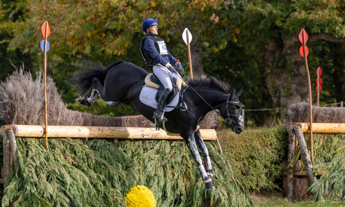 TARA VAN HET LELIEHOF